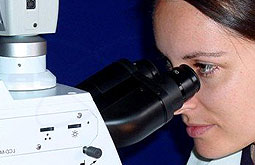 La survivina tiene valor pronóstico en la progresión de la leucemia mieloide