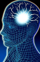Progesterona ejerce efectos protectores en lesiones traumáticas del cerebro