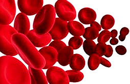 Normalizar la hemoglobina no reduce episodios cardiovasculares en la nefropatía crónica