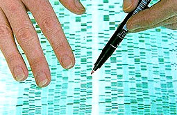 Perfil genómico de cinco genes pronostica la evolución del cáncer de pulmón