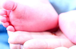 Administración prenatal de progesterona previene el parto prematuro