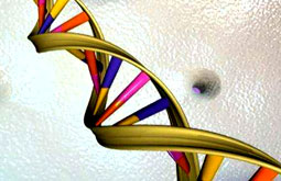 Genes predisponen a osteoporosis y fracturas