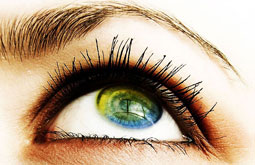 Ácidos grasos omega-3 y pescados atenúan peligro de degeneración macular