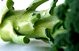 Verduras crucíferas protegen de enfermedades vasculares en la diabetes