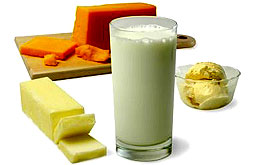 Dietas ricas en proteínas queman grasa en la obesidad