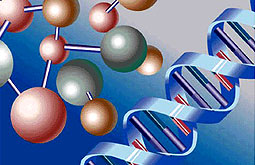 Disfunción alélica disminuye eficacia del clopidogrel