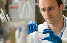 Proteína Angptl2 en obesos causa diabetes e inflamación