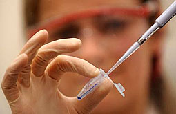PCR detecta la infección bacteriana en la colecistitis
