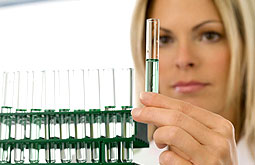 Longitud de los telómeros determina incidencia de cáncer y mortalidad