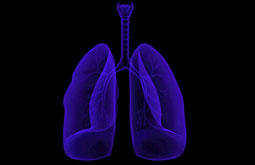 Denufosol mejora la función pulmonar en la fibrosis quística