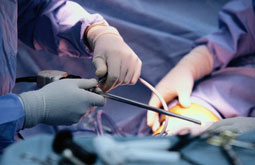 Edad del donante no influye en el trasplante renal