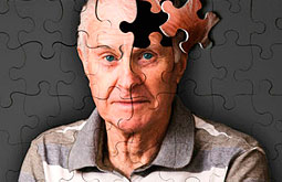 Extractos de ginkgo biloba no evitan progresión del  Alzheimer