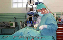 Drenaje quirúrgico supera a endoscopia en la pancreatitis crónica