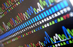 Prueba de ADN predice eficacia del tratamiento del cáncer de pulmón