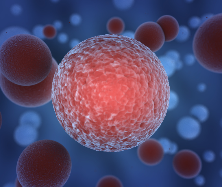 Creatina y su impacto en la respuesta inmunitaria contra el cáncer
