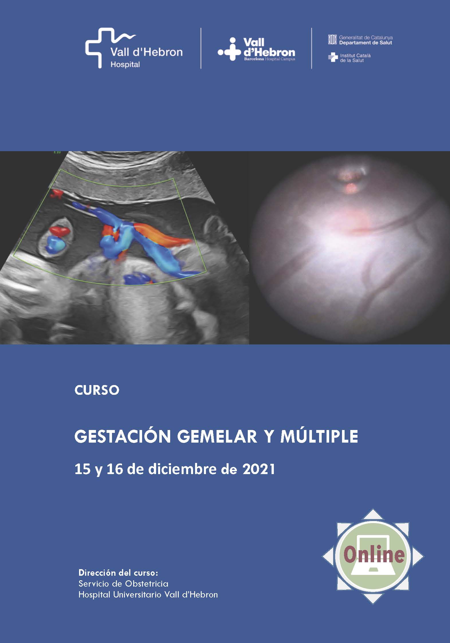 Curso gestación gemelar y múltiple