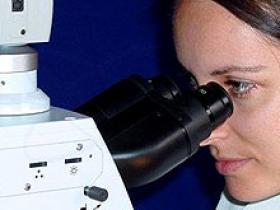 La survivina tiene valor pronóstico en la progresión de la leucemia mieloide