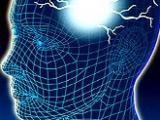 Progesterona ejerce efectos protectores en lesiones traumáticas del cerebro