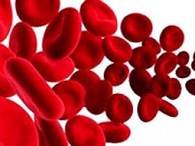 Normalizar la hemoglobina no reduce episodios cardiovasculares en la nefropatía crónica