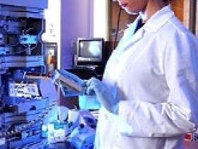 <em>Klebsiella oxytoca</em> sería la principal causa de colitis hemorrágica asociada a antibióticos
