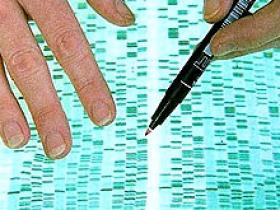 Perfil genómico de cinco genes pronostica la evolución del cáncer de pulmón