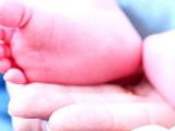 Administración prenatal de progesterona previene el parto prematuro