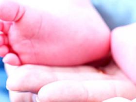 Administración prenatal de progesterona previene el parto prematuro