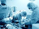 Ultrasonido diagnostica infecciones en prótesis de cadera y de rodilla