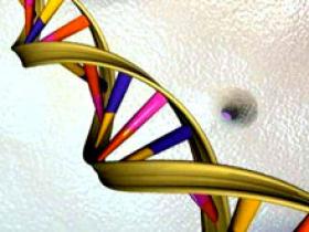 Genes predisponen a osteoporosis y fracturas