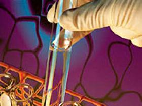 Biomarcador SCUBE1 predice síndromes coronarios y accidentes cerebrovasculares