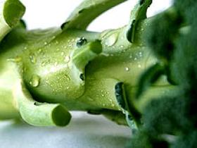Verduras crucíferas protegen de enfermedades vasculares en la diabetes