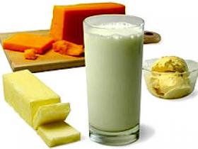 Dietas ricas en proteínas queman grasa en la obesidad
