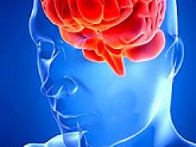 El <em>Ginkgo biloba</em> previene los eventos cerebrovasculares