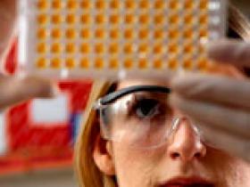 Biomarcadores predicen deterioro cognitivo y demencia