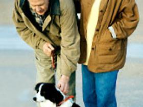 Altas dosis de vitamina D previenen caídas en ancianos