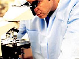 Agentes infecciosos provocan enfermedades reumáticas