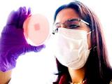 Alteraciones genéticas predisponen a enfermedades infecciosas