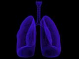Denufosol mejora la función pulmonar en la fibrosis quística