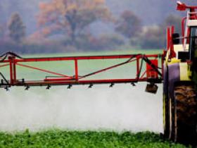 Pesticidas afectan el desarrollo intelectual infantil
