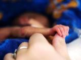 Marcadores predicen el parto prematuro espontáneo