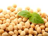 Proteínas de soya o leche disminuyen la presión arterial
