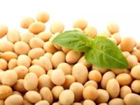 Proteínas de soya o leche disminuyen la presión arterial