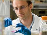 Survivina predice progresión del cáncer colorrectal