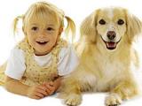 Niños con mascotas tienen menos enfermedades respiratorias