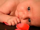 La glutamina en niños prematuros protege el desarrollo cerebral