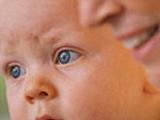 Genes involucrados en la patogénesis del glaucoma