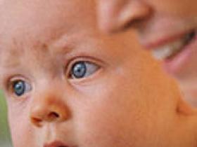 Genes involucrados en la patogénesis del glaucoma
