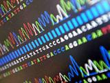 Prueba de ADN predice eficacia del tratamiento del cáncer de pulmón