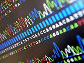 Prueba de ADN predice eficacia del tratamiento del cáncer de pulmón
