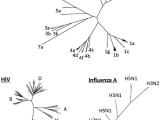 El inteligente virus de la hepatitis C